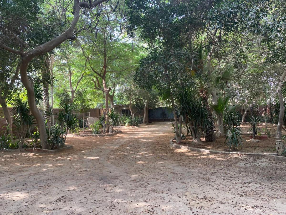 Villa By The Pyramids القاهرة المظهر الخارجي الصورة