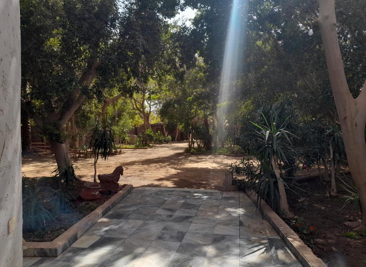 Villa By The Pyramids القاهرة المظهر الخارجي الصورة