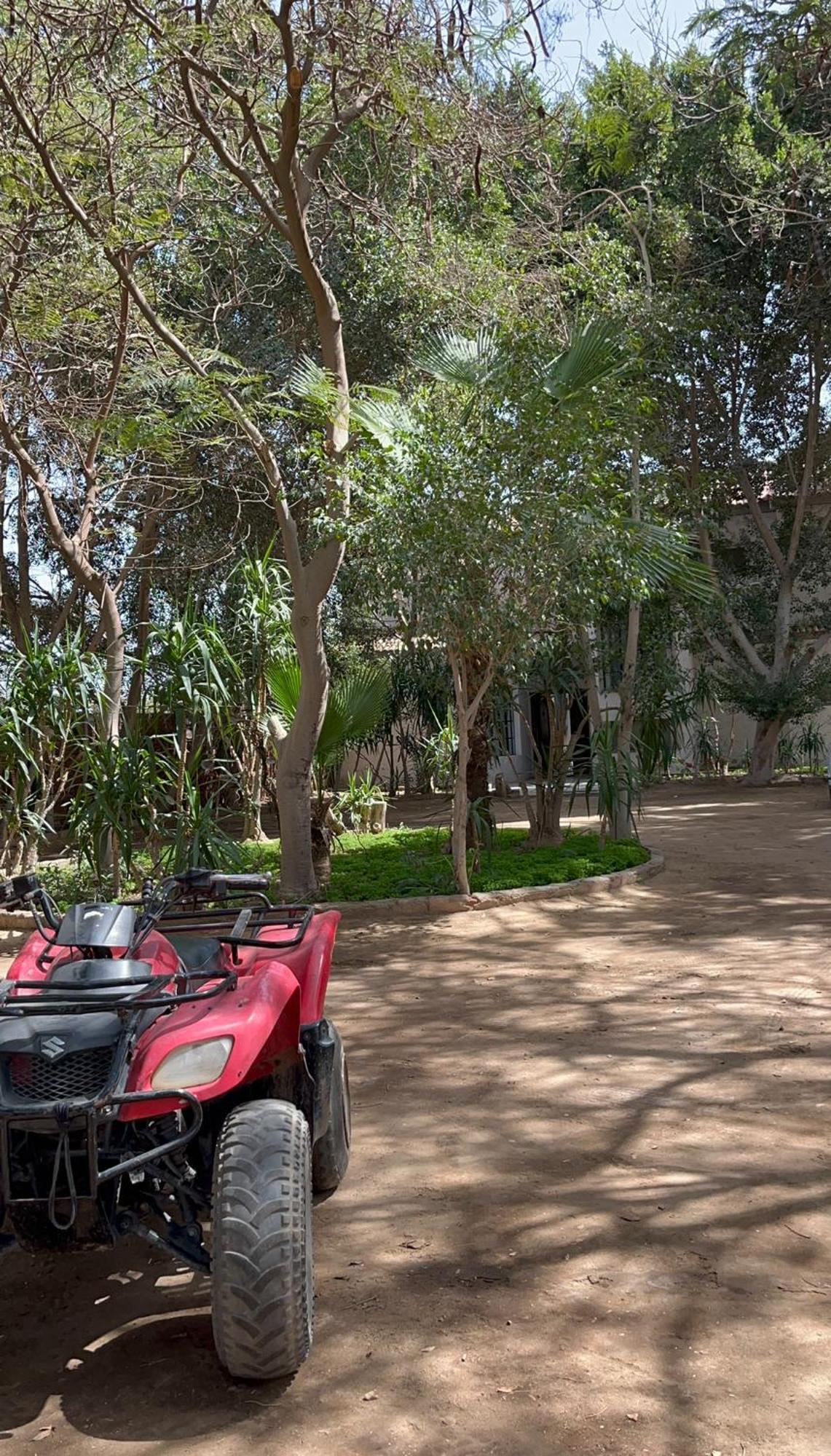 Villa By The Pyramids القاهرة المظهر الخارجي الصورة