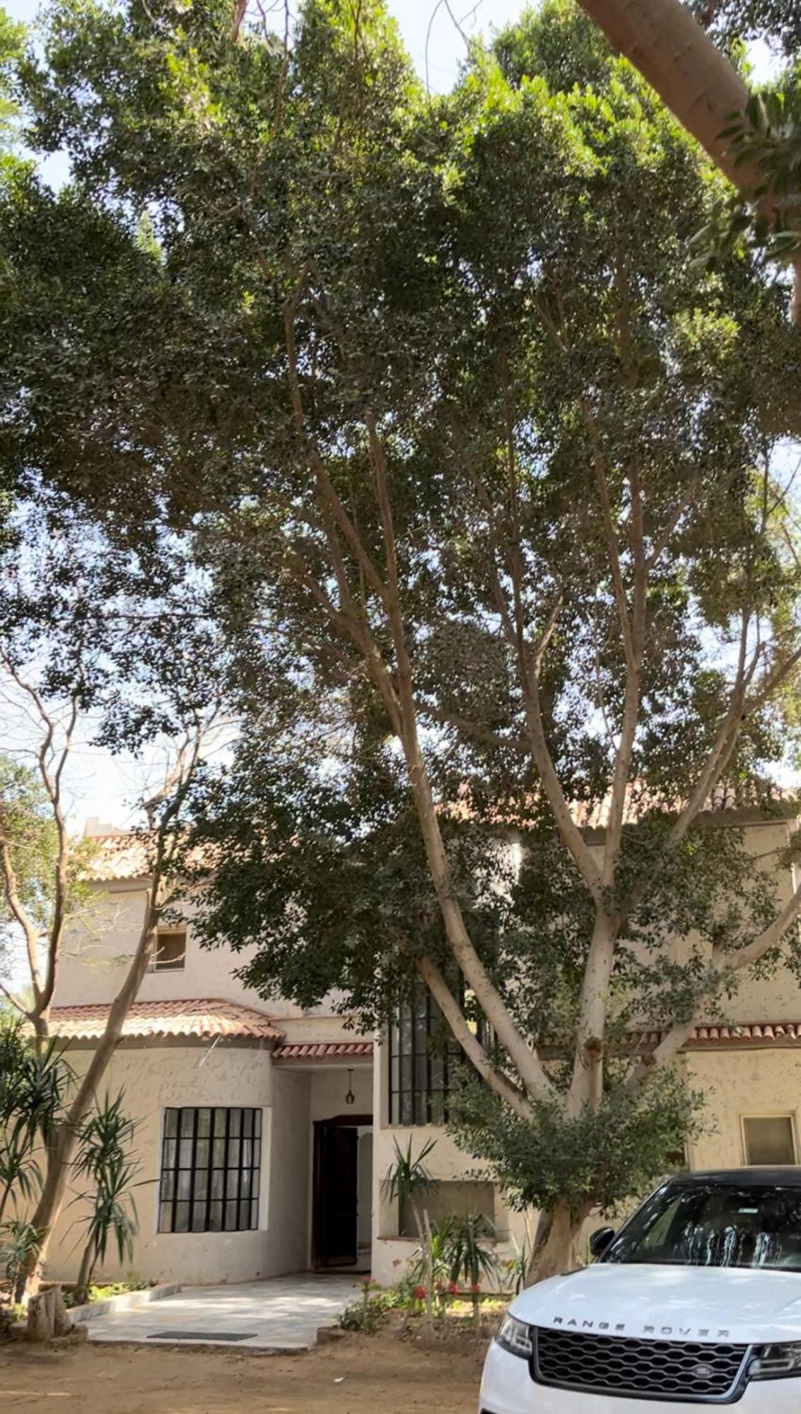 Villa By The Pyramids القاهرة المظهر الخارجي الصورة