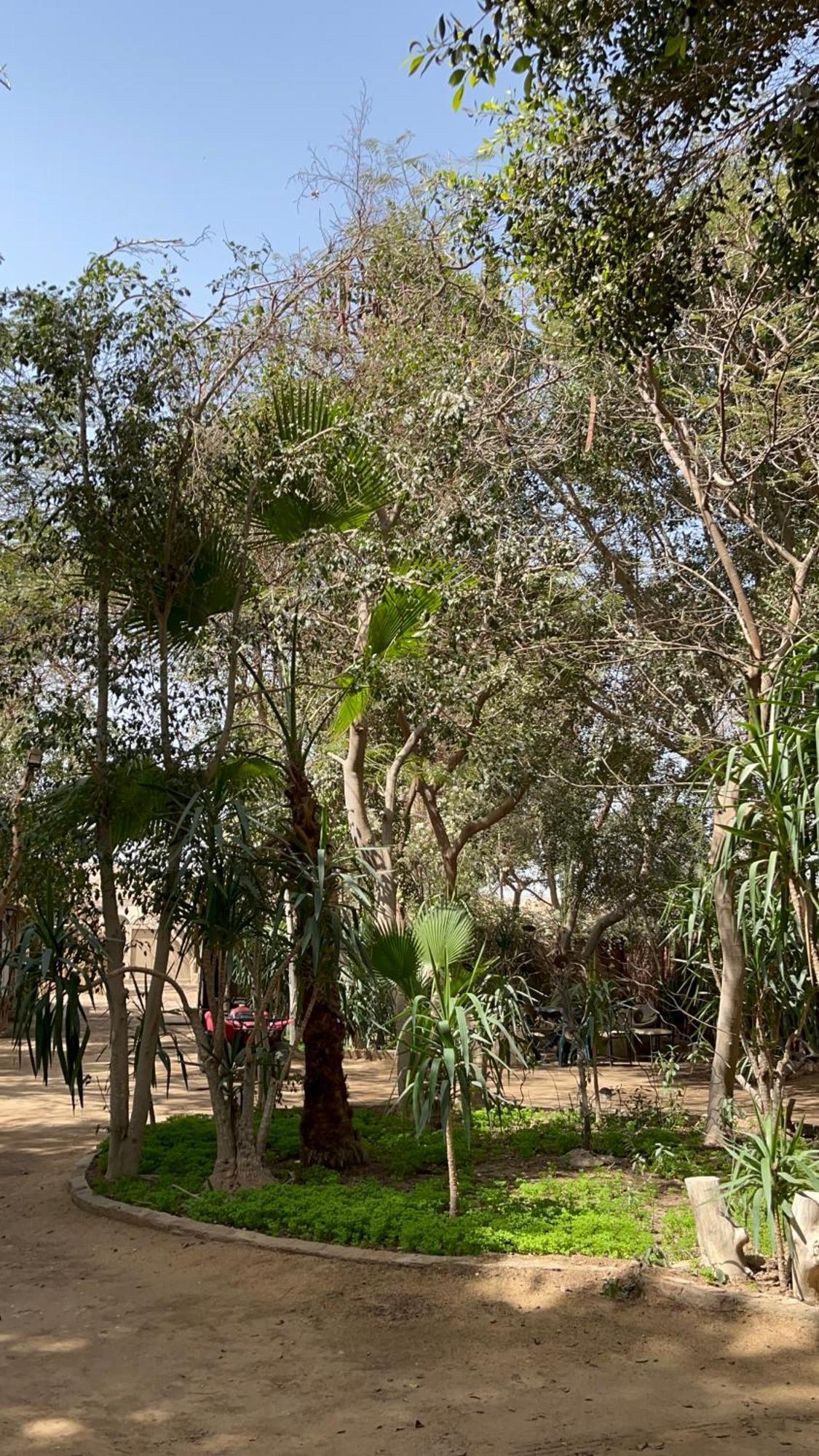 Villa By The Pyramids القاهرة المظهر الخارجي الصورة