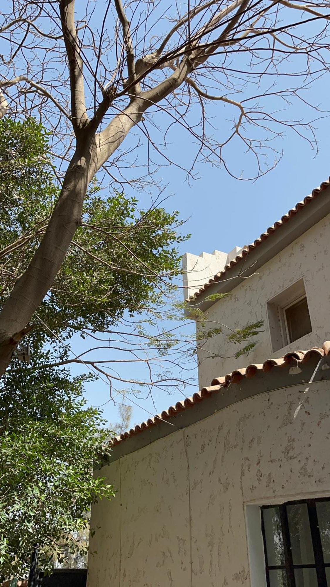Villa By The Pyramids القاهرة المظهر الخارجي الصورة